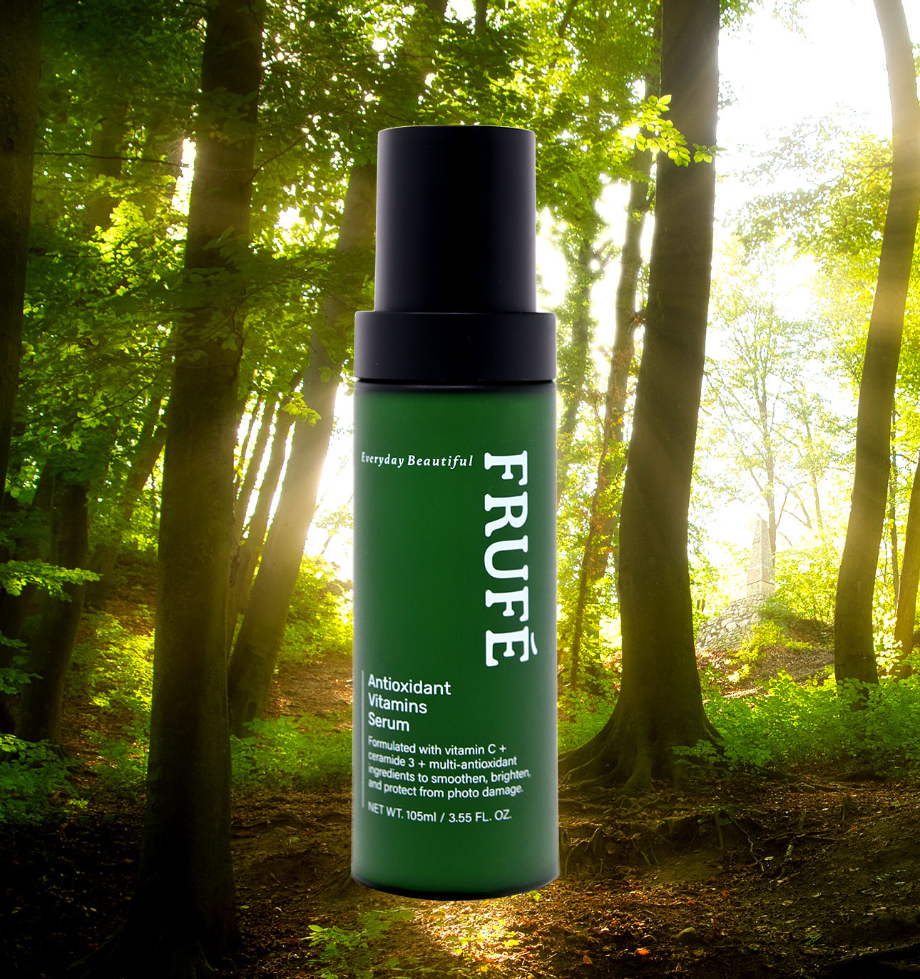 Big trees in the forest, with beautiful rays of light